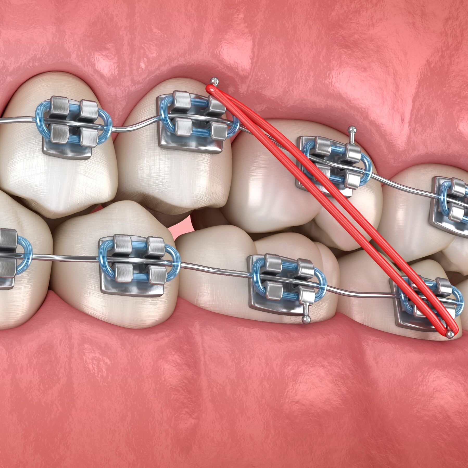 shutterstock_2152171751 (1) (1)